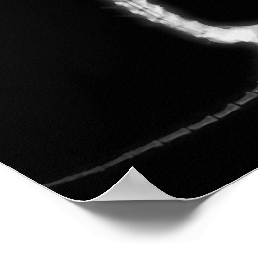 X-RAY PUPPY DOG SKELETON-SITTING - B&W POSTER (Hoek)