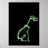 X-RAY PUPPY DOG SKELETON SITTING - GROEN POSTER (Voorkant)