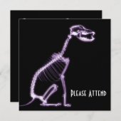 X-RAY PUPPY DOG SKELETON SITTING - PAARS KAART (Voorkant / Achterkant)