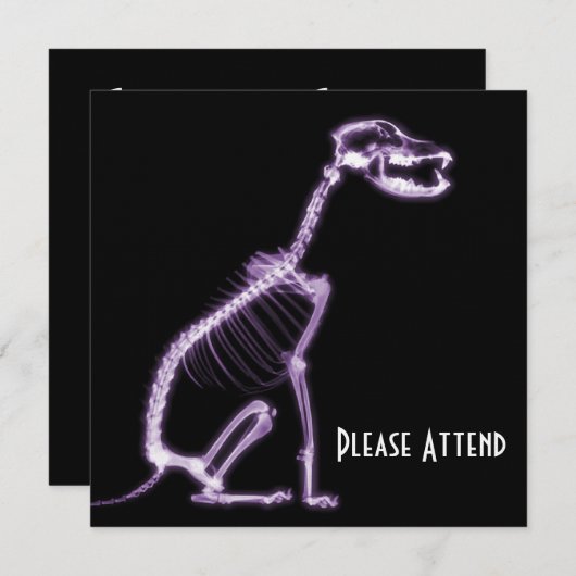 X-RAY PUPPY DOG SKELETON SITTING - PAARS KAART (Voorkant / Achterkant)