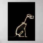 X-RAY PUPPY DOG SKELETON SITTING - SEPIA POSTER (Voorkant)