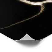 X-RAY PUPPY DOG SKELETON SITTING - SEPIA POSTER (Hoek)