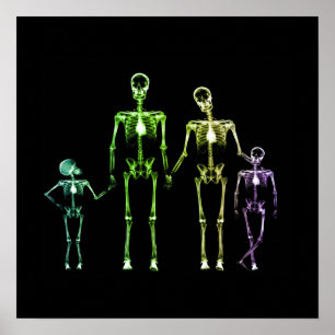 X-Ray Skeletfamilie - Multicolor 1 Poster