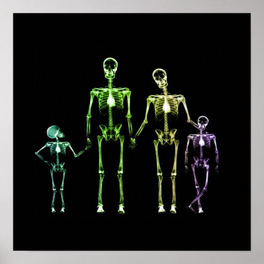 X-Ray Skeletfamilie - Multicolor 1 Poster (Voorkant)