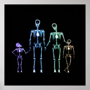 X-Ray Skeletfamilie - Multicolor 3 Poster
