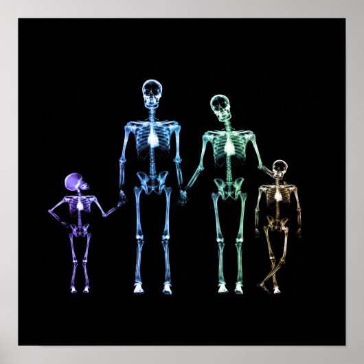 X-Ray Skeletfamilie - Multicolor 3 Poster (Voorkant)
