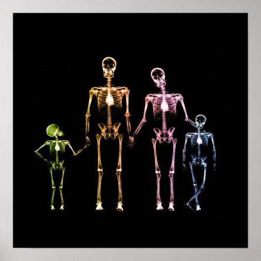 X-Ray Skeletfamilie - Multicolor 4 Poster (Voorkant)