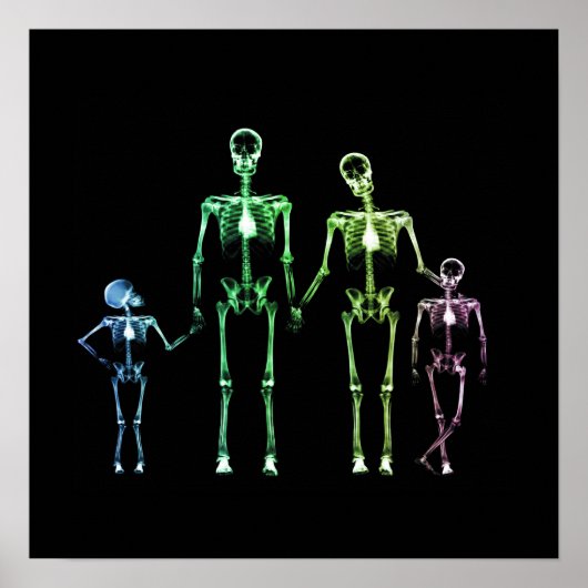 X-Ray Skeletfamilie - Multicolor 5 Poster (Voorkant)