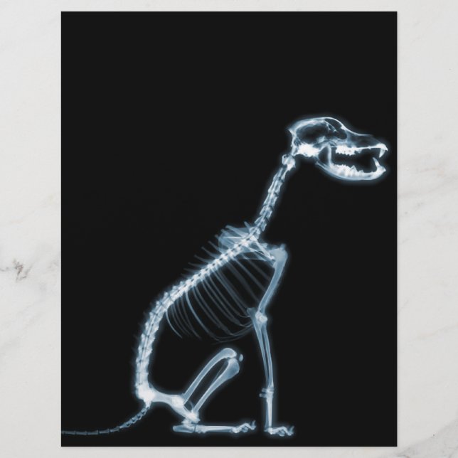 X-RAY SKELETON DOG SITTING - BLAUW EN ZWARTE (Voorkant)