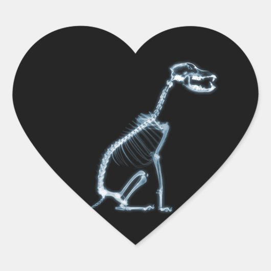 X-RAY SKELETON DOG SITTING - BLAUW EN ZWARTE HART STICKER (Voorkant)