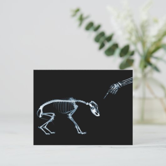 X-Ray Skeletons Bad Dog Blue Briefkaart (Staand voorkant)
