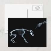 X-Ray Skeletons Bad Dog Blue Briefkaart (Voorkant / Achterkant)