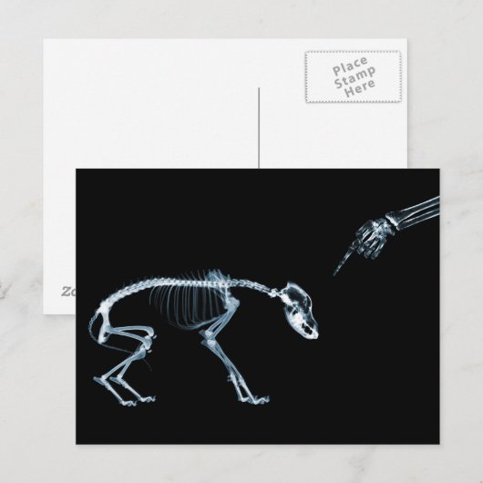 X-Ray Skeletons Bad Dog Blue Briefkaart (Voorkant / Achterkant)