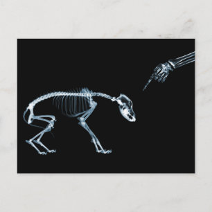 X-Ray Skeletons Bad Dog Blue Briefkaart
