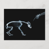 X-Ray Skeletons Bad Dog Blue Briefkaart (Voorkant)