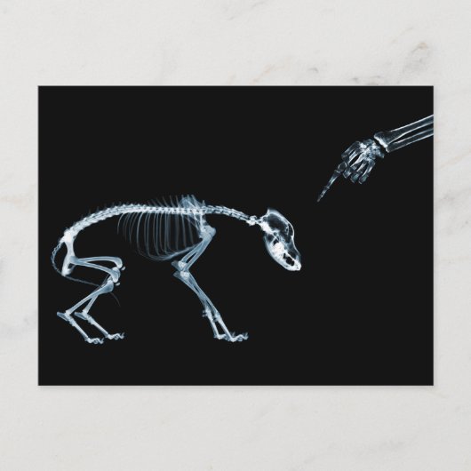 X-Ray Skeletons Bad Dog Blue Briefkaart (Voorkant)