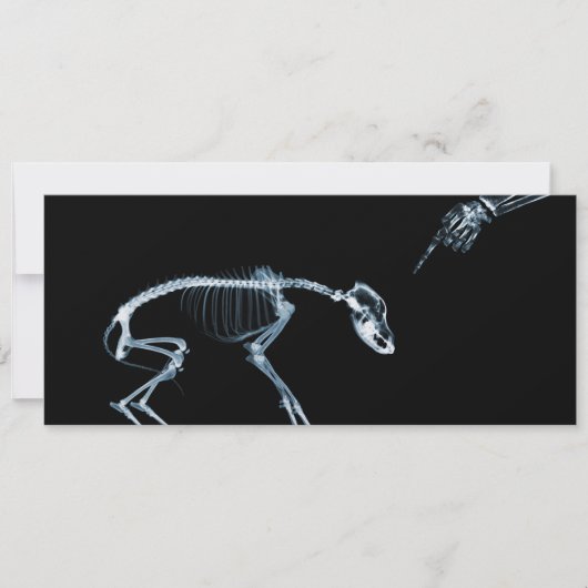 X-Ray Skeletons Blue Bad Dog Invitae Kaart (Voorkant)