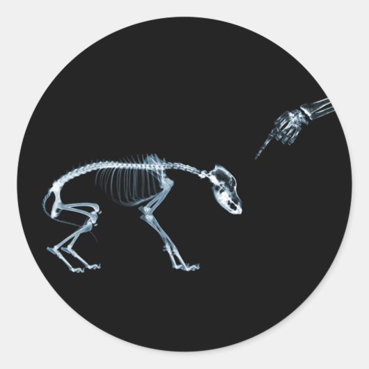 X-Ray Skeletons Blue Bad Dog Ronde Sticker (Voorkant)