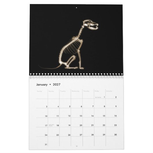X-Ray Skeletons Midnight Stroll Black Sepia Kalender (Jan 2027)