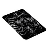 X-Ray Skelett Korpus mit Fledermaus Magneet (Rechterzijde)