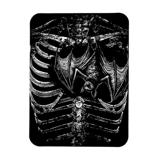 X-Ray Skelett Korpus mit Fledermaus Magneet (Verticaal)