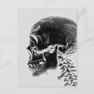 X-Ray Skull Briefkaart