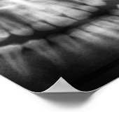 X-Ray Teeth Mouth Smile Black en White Poster (Hoek)