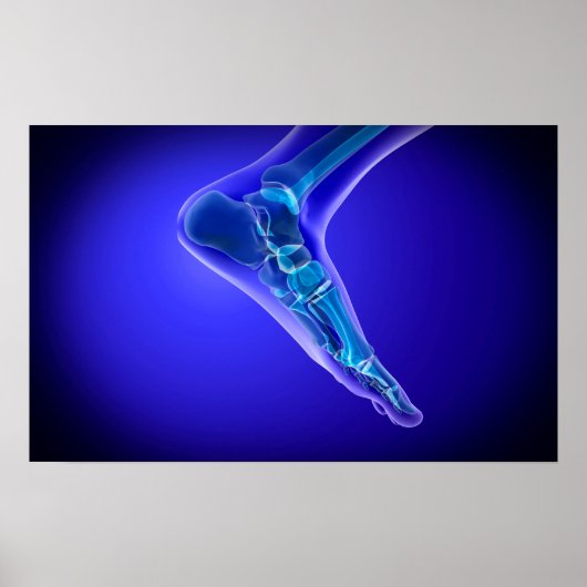 X-Ray View Of Human Foot 3 Poster (Voorkant)