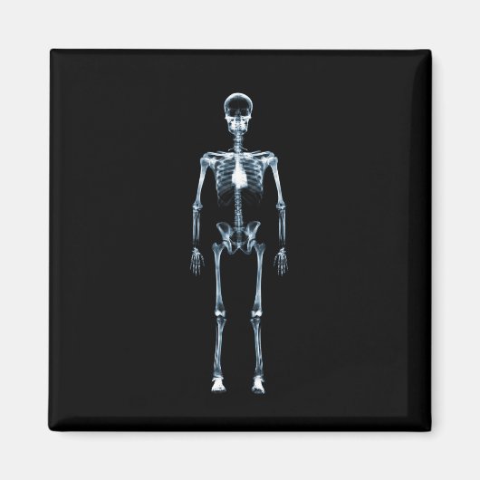 X-Ray Vision Blue Single Skeleton Magneet (Voorkant)