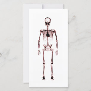 X-Ray Vision Single Skeleton White Red