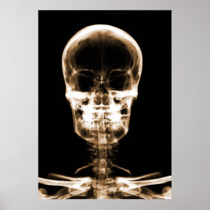 X-RAY VISION SKELETON SKULL - ORANJE POSTER