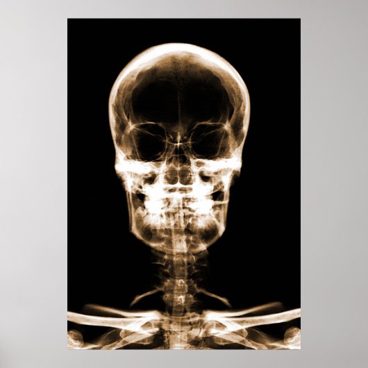 X-RAY VISION SKELETON SKULL - ORANJE POSTER (Voorkant)
