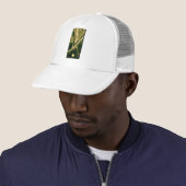 X TRUCKER PET (In situ)