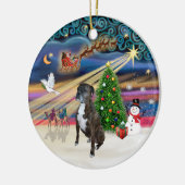 Xams Magic - Boxer (tigermetaal 2) Keramisch Ornament (Links)