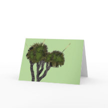 Xanthorrhoea op groen