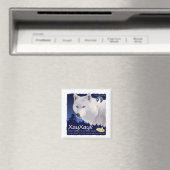 Xayxayx magneet (Insitu (Vaatwasser))