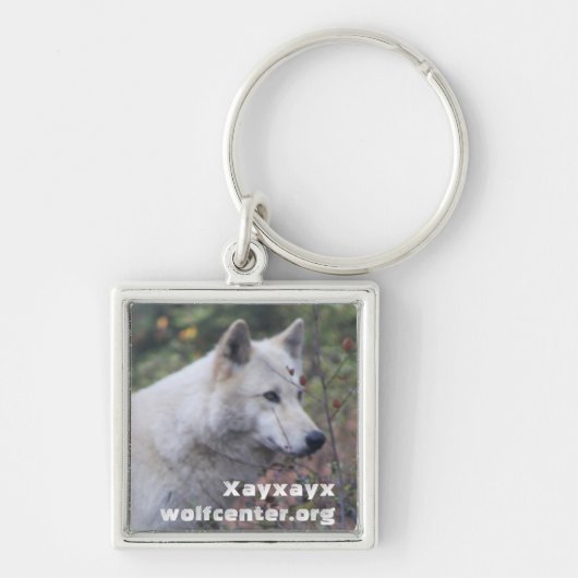 Xayxayx Sleutelhanger (Voorkant)