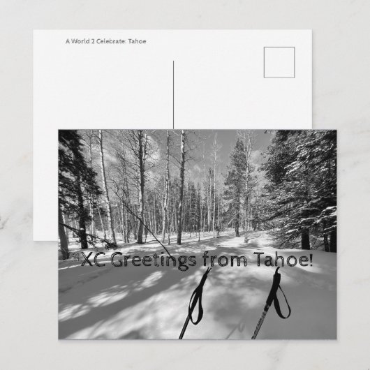 XC Greetings van Tahoe. Briefkaart (Voorkant / Achterkant)