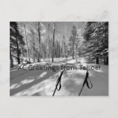XC Greetings van Tahoe. Briefkaart (Voorkant)