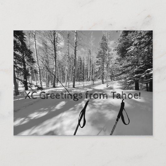 XC Greetings van Tahoe. Briefkaart (Voorkant)