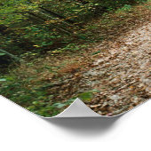 XC-RUNNERS GAAN HET AFSTAND Poster 16 x 12 inch (Hoek)