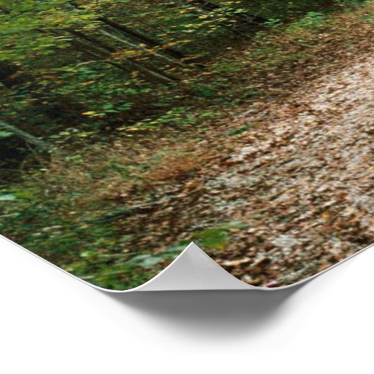 XC-RUNNERS GAAN HET AFSTAND Poster 16 x 12 inch (Hoek)