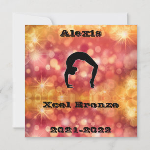 Xcel Bronze Gymnastiek