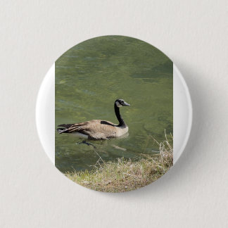 xcvdvdf ronde button 5,7 cm
