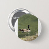 xcvdvdf ronde button 5,7 cm (Voorkant /achterkant)