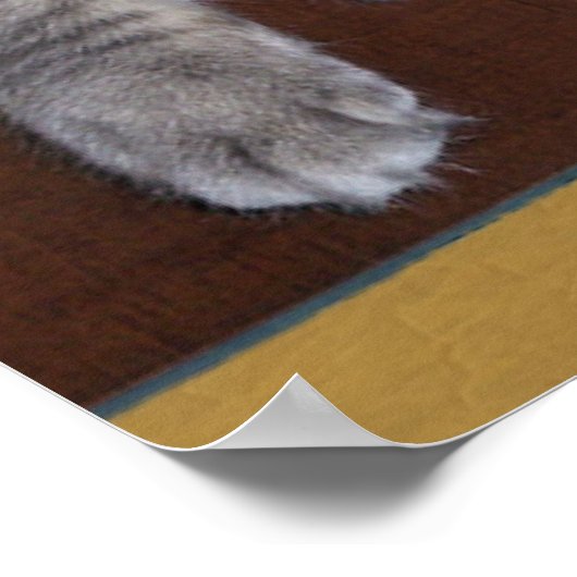 Xena as Pirate poster (Hoek)