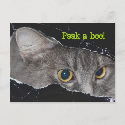 Xena peek-a-boo Briefkaart - Gepersonaliseerd (Voorkant)