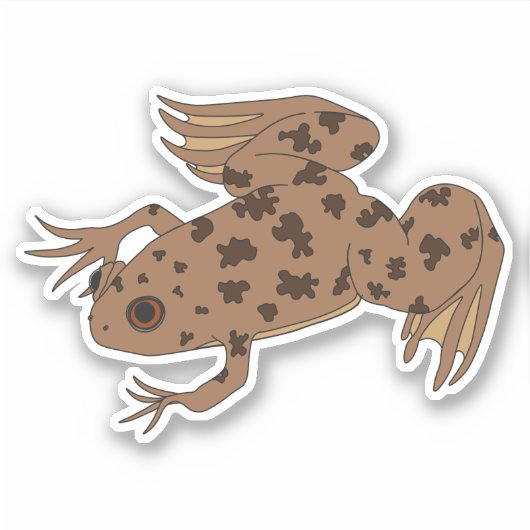 Xenopus sticker (Voorkant)