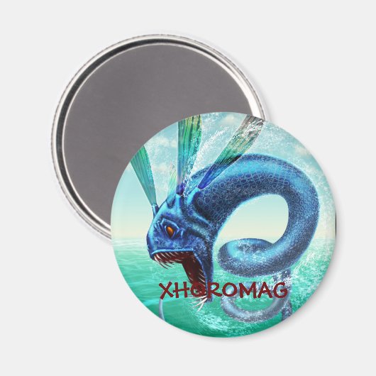 Xhoromag 10 magneet (Voorkant / Achterkant)