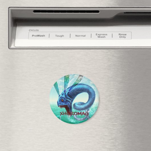 Xhoromag 10 magneet (Insitu (Vaatwasser))